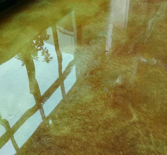 施麥貝琥珀藝術地坪漆施工流程介紹！